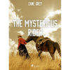 The Mysterious Rider