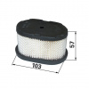 Filter 497725S, 497725, 494586 pre Briggs a Stratton Europa OHV, Quantum, 5 HP motory