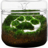 Bioloark Luji Glass Cup MY-120 - 1 ks