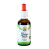 Salvia Paradise Ginkgo biloba tinktura bez alkoholu 50 ml
