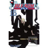 Bleach 15 (Tite Kubo)
