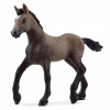 Schleich 13954 – peruánsky žriebä paso