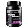 PROM-IN BCAA Synergy 550 g Príchuť: Meloun