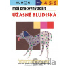 Môj pracovný zošit: Úžasné bludiská - Toshihiki Karakido, Yoshiko Murakami, Masako Watanabe, Meiko Miashita, Toshio Nishiuchi, Giovanni