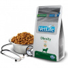 Farmina Vet Life dog obesity fish 12 kg