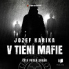 V tieni mafie audiokniha