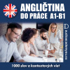 Audiokniha: Angličtina do práce A1-B1