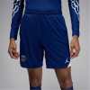 Nike Paris Saint Germain Strike Fourth Shorts 2025 Adults Blue/Phantom S