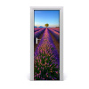 Fototapeta na dvere samolepiace poľa levanduľa 75x205