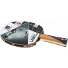 Sunflex Lam Siu Hang Table tenis (Sunflex Lam Siu Hang Table Tennis Racket)