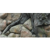 DIVERSA 3D Amazonka 50x30cm