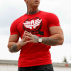 Pánske fitness tričko Iron Aesthetics Triumph, červené, Veľkosť 2XL, Farba Červená