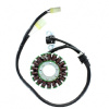 ELECTROSPORT ESG769 stator YAMAHA WRF 450 / WR 450F (12-15)