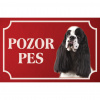 Americký kokeršpaniel - Kovová tabuľka POZOR PES