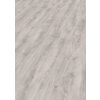 Egger EBL013 Basic Laminate 31 CLASSIC Dub Nordkapp laminátová podlaha 7mm CLICit EBL013-PC271