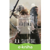 E-kniha Hrdina - R.A. Salvatore