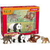 Schleich 42736 Startovací set Wild Life Asie