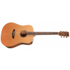 Tanglewood TW15 R (Akustická gitara typu Dreadnought)