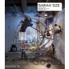 Sarah Sze - Laura Hoptman, Okwui Enwezor, Benjamin H.D. Buchloh