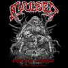 Avulsed - Vomiting Corpses - the 90s Regurgitations / 4CD [4 CD]