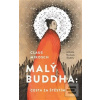 Malý Buddha: Cesta za št… (Claus Mikosch)