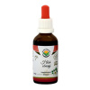 Salvia Paradise Hloh obecný AF tinktura 50 ml