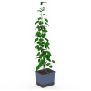 Gusta Garden GG-144C10