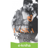 E-kniha Priamočiara láska - Lexi Ryan