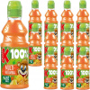 Ovocná šťava 300 ml