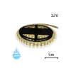 LED pásik 12V 5630 60LED/m IP68 max. 12W/m biela prírodná (1ks=cievka 5m) (Sanan čip) vodeodolný