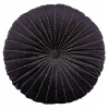Vankúš - Dekoratívny vankúš Eurofiran 40x40 cm čierny (Velvet Ortex 39 (fi) vankúš 40 cm čierny)