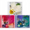 Tae Yang (Big Bang): White Night - CD