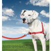 PetSafe® Postroj EasyWalk malinový M
