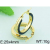 Náušnice kruhy gold ny4779 chirurgická oceľ (Náušnice kruhy gold ny4779 chirurgická oceľ)