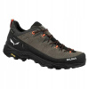 Salewa Alp Trainer 2 GTX hnedé