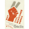 Why Civil Resistance Works : The Strategic Logic of Nonviolent Conflict - Erica Chenoweth