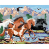 Maľovanie podľa čísel – Divoké kone v horách (Howard Robinson), 80 × 100 cm, bez rámu a bez napnutia plátna 8596530060703