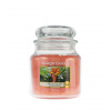 Yankee Candle The Last Paradise vonná sviečka 411 g