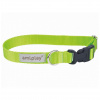 Obojok Samba M 25-40cm x 2,0cm zelený Amiplay