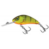 SALMO Wobler RATTLIN HORNET FLOATING Hot Perch 5.5cm (plávajúci)