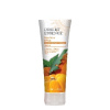 Desert Essence Tekvicový regeneračný krém na ruky 118 ml