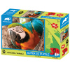 PRIME 3D PUZZLE 10650 Papagáj 48 dielikov