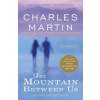 The Mountain Between Us
