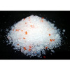 ELEGANT Cat red orange 16 l