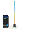 Govee RGBICWW Floor Lamp 2 Support Matter