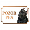 Americký pitbullteriér - Kovová tabuľka POZOR PES