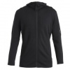 Icebreaker Merino 260 Quantum IV LS Zip Hoodie Men