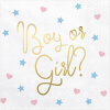Servítky PartyDeco Boy or Girl? 33 cm 20 kusov