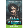 E-kniha Sama v búrke - Andrea Rimová