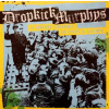 LP Dropkick Murphys: 11 Short Stories Of Pain & Glory